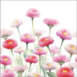 Ambiente Painted Bellis papírszalvéta 33x33cm, 20db-os