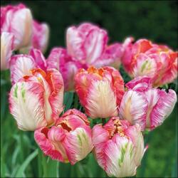 Ambiente Parrot Tulips papírszalvéta 33x33cm, 20db-os - szep-otthon
