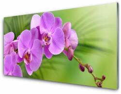tulup. hu Fali üvegkép Orchidea Orchidea Virág 100x50 cm 2 fogas