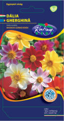Rédei Kertimag Zrt Dália (Dahlia variabilis) egyszerű virágú Mignon színkeverék (1 g)