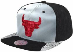 Mitchell & Ness snapback Chicago Bulls Day 5 Snapback grey/black