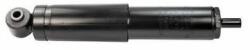MTR amortizor MTR MT3791 (MT3791) - automobilus
