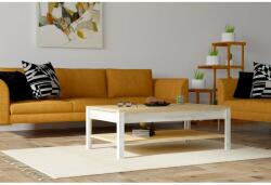 Puqa Design Dohányzóasztal 100 x 60 x 35 cm (835PUQ2839)