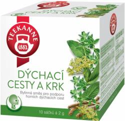  Teekanne tea LÉGZŐÚT ÉS TOROK 10 x 2 g