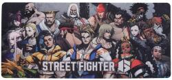 Cooler Master MP511 Speed Street Fighter XL (MP-511-SPEC4) Mouse pad