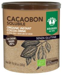 Probios Cacao Instant Eco, Probios, 300 g (BLG-9012237)