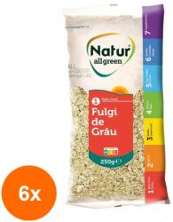 Natur All Green Set 6 x Fulgi de Grau, Natur All Green, 250 g (OIB-6xBLG-2001561)