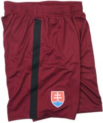 Nike Sorturi Nike SFZ M SHORT GK PR cd8374-677 Marime S (cd8374-677)