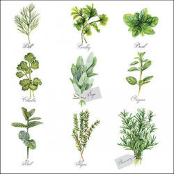 Ambiente Herb selection papírszalvéta 33x33cm, 20db-os - perfectodekor