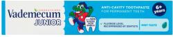 Vademecum junior 6+ fogkrém fodormenta ízű 75ml