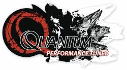  QUANTUM Quantum Sktech Sticker