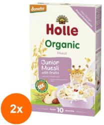 Holle Baby Set 2 x Muesli cu Multicereale si Fructe Eco, Holle Baby, 250 g (OIB-2xBLG-1872349)