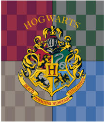 Harry Potter Hogwarts coral fleece polár takaró 120x150cm (EMM5248359) - gyerekagynemu