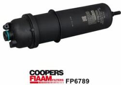 CoopersFiaam filtru combustibil CoopersFiaam FP6789