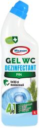 Misavan Dezinfectant gel toaleta Misavan Pin 1l (90016509)