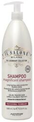 ALFAPARF Milano Sampon pentru Par Vopsit - Il Salone Milano Professional Magnificent Shampoo, 1000 ml
