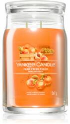 Yankee Candle Signature Farm Fresh Peach 567 g