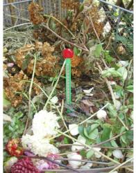 Nature Komposzt thermometer 32cm - automataontozorendszer