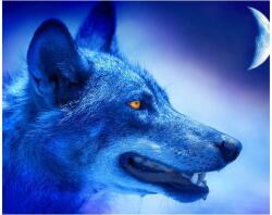  5D gyémánt mozaik - Midnight Wolf