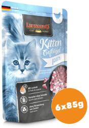 BEWITAL petfood -Leonardo alutasak Kitten - színhús eledel 6x85g