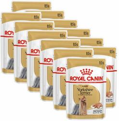 Royal Canin ROYAL CANIN ADULT YORKSHIRE 12 x 85 g