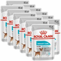 Royal Canin Royal Canin Dermacomfort Dog Loaf pliculeț cu pate pentru câini cu probleme de rinichi 12 x 85 g