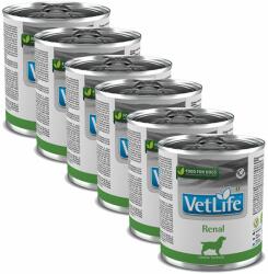  FARMINA Farmina Vet Life Renal Canine 6 x 300 g
