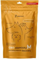 CURE POINT CURE POINT CBD tratează Recovery, M
