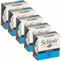 Schesir Schesir dog ton în gelatină 5 x 150 g
