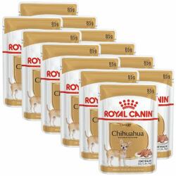 Royal Canin ROYAL CANIN ADULT CHIHUAHUA 12 x 85 g - pungă