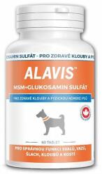 Alavis ALAVIS MSM Sulfat de glucozamina - articulații sănătoase și bunăstare fizică, 60tbl