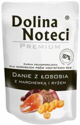 Dolina Noteci Dolina Noteci Premium Salmon Stew with Carrot and Brown Rice 100 g