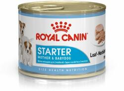 Royal Canin Royal Canin Starter Mousse 195g - cutie