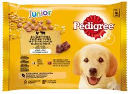 PEDIGREE Pedigree Junior pliculețe în gelatină 4 x 100 g