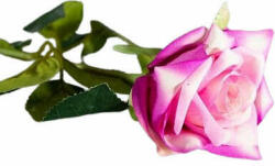50 cm rózsaszín cirmos rózsa (50-cm-rozsaszin-cirmos-rozsa) - pepita - 1 279 Ft