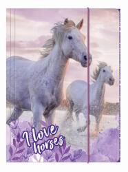 DERFORM Lovas A/4 gumis mappa - I love horses (TGA4KO25)
