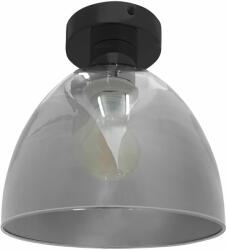 Toolight Szerszámlámpa, mennyezeti lámpa 1xE27 APP1303-1C, fekete, OSW-02427 (OSW-02427)