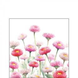 Ambiente Painted Bellis papírszalvéta 25x25cm, 20db-os - szep-otthon