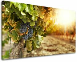  Falfestés Konyha KU016E11