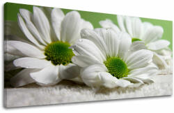  Fali festmény Panoráma Virágok XOBKV111E13