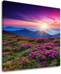  Fali festés LANDSCAPE KR006E12