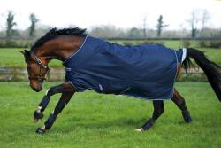 Horseware Ireland Amigo bravo 12 Turnout lite - 125 cm