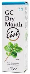 GC Gel pentru cavitatea bucală uscată cu aromă de mentă - GC Dry Mouth Gel Mint 35 ml