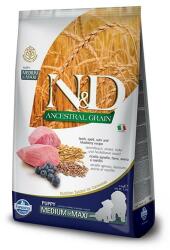 N&D Anc. Grain Bárány&Áfonya Puppy Med/Max 12Kg