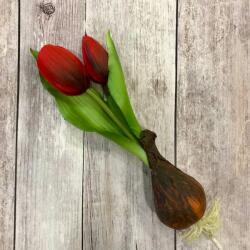 Kreatív Hagymás tulipán piros élethű