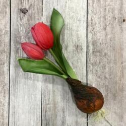Kreatív Hagymás tulipán pink élethű