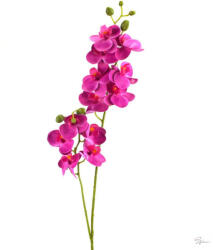 2 ágú orchidea ciklámen (KB-50-1586CIKL)