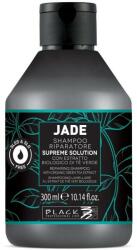 Black Professional Șampon lamelar - Black Professional Line Black Jade Supreme Solution Shampoo 300 ml