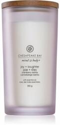 Chesapeake Bay Mind & Body Joy & Laughter 355 g