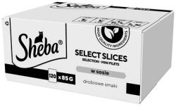 Sheba Selection Select Slices Baromfi Ízek tasakok 120x85 g-os szószos darabokban: kacsa, csirke, baromfi, kacsa és pulyka macskáknak